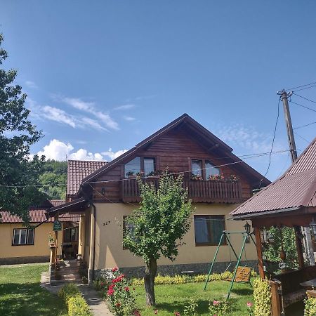 Pensiunea Ghita Vasile Vadu Izei Exterior foto