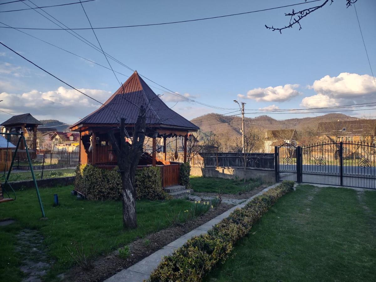 Pensiunea Ghita Vasile Vadu Izei Exterior foto